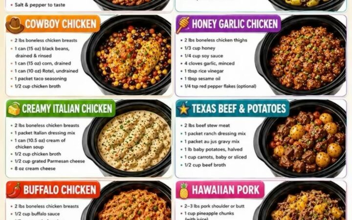 dump and go crock pot chicken and rice